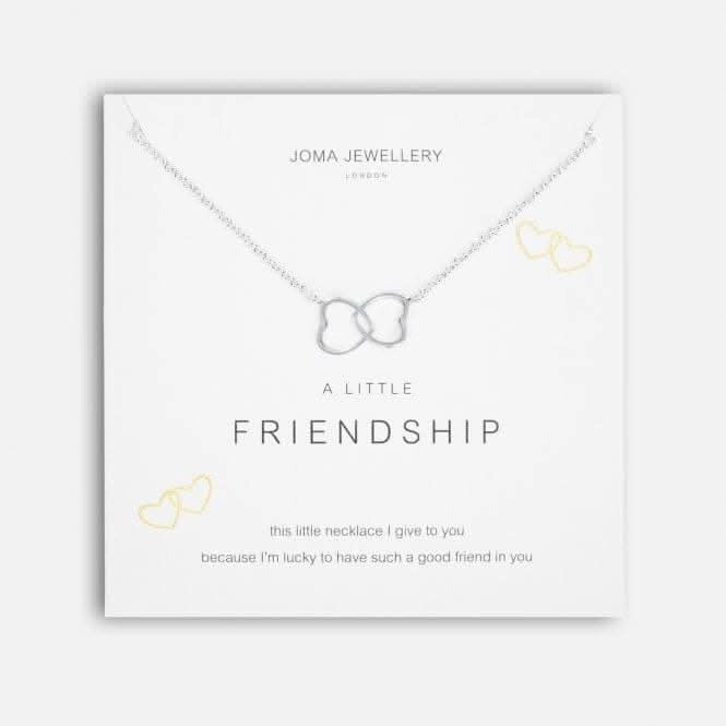 A Little Friendship Silver 46cm   5cm Extender Necklace 5275