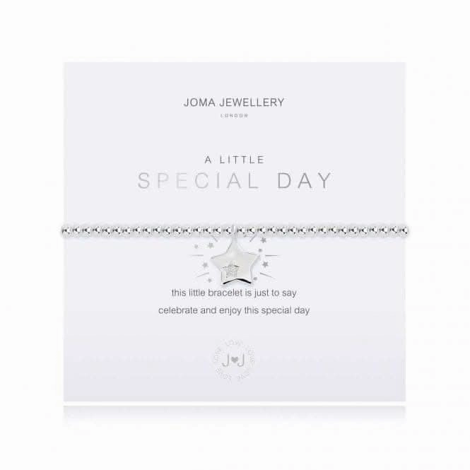 A Little Special Day Silver 17.5cm Stretch Bracelet 3889