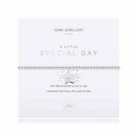 A Little Special Day Silver 17.5cm Stretch Bracelet 3889