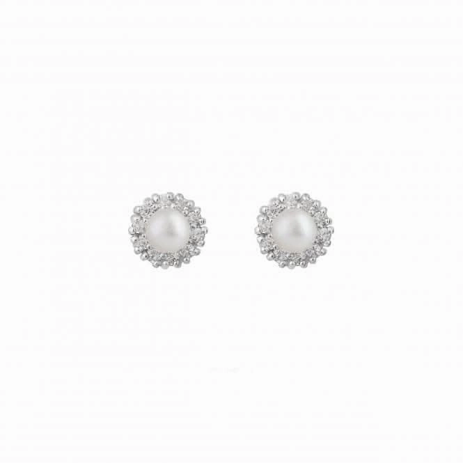 Freshwater Pearl with Zirconia Cluster Stud Earrings 36827FP