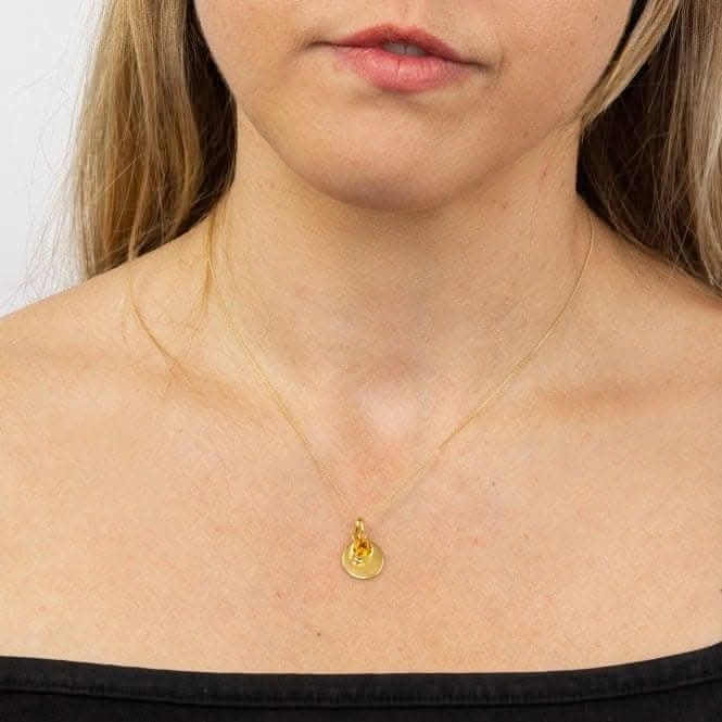 November Yellow Gold Plated Birthstone Engravable Disc Necklace P5018