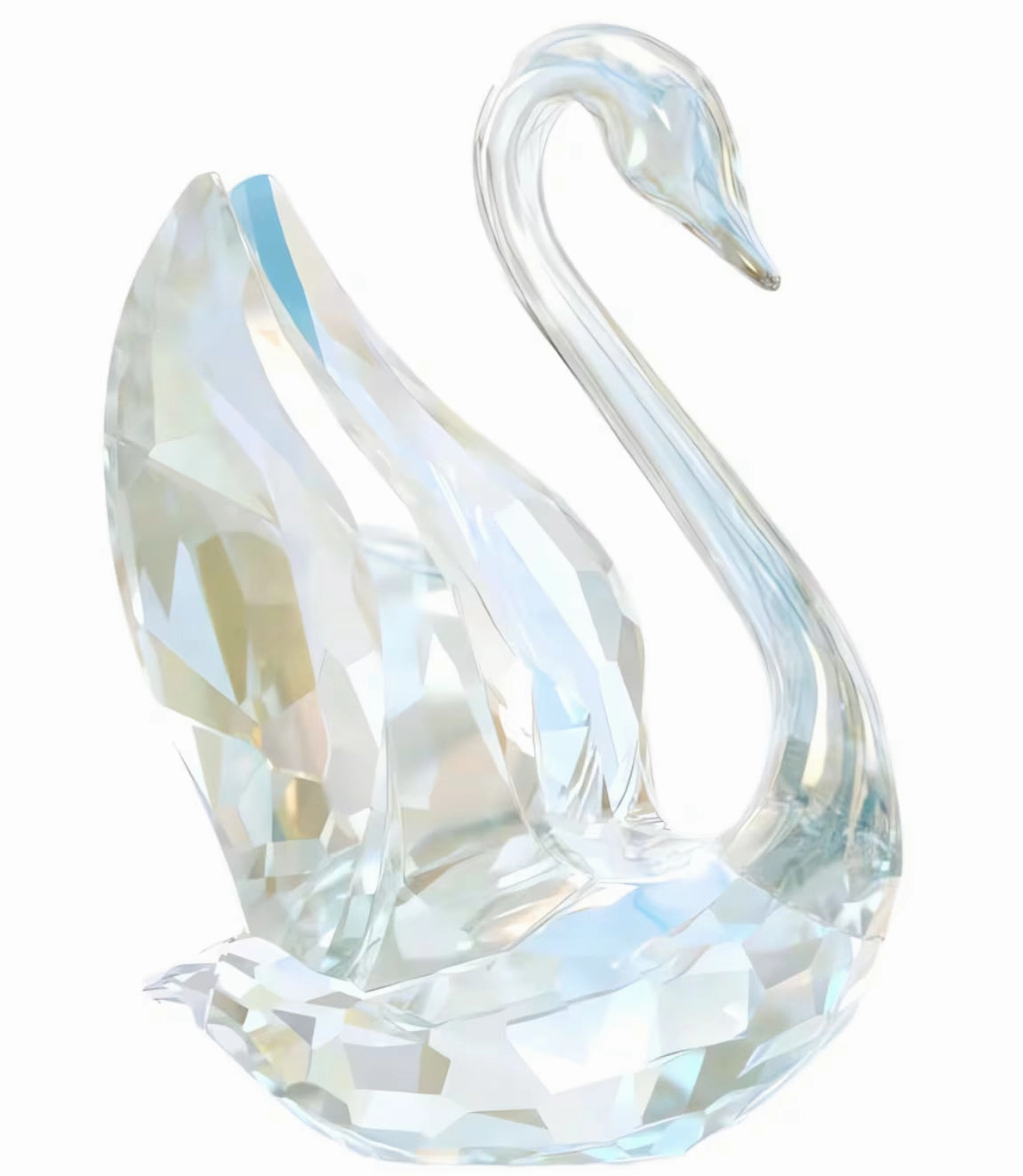 SCS 2024 Annual Edition Swan