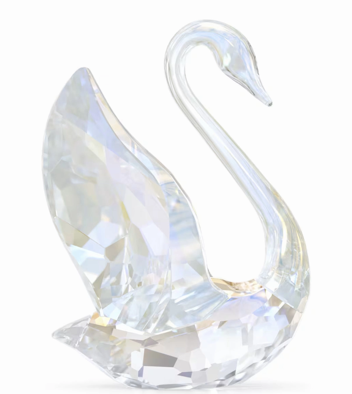 SCS 2024 Annual Edition Swan