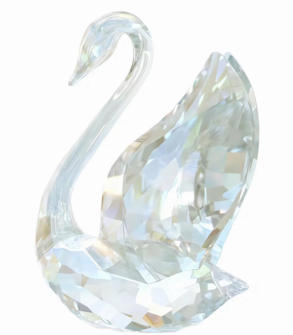 SCS 2024 Annual Edition Swan