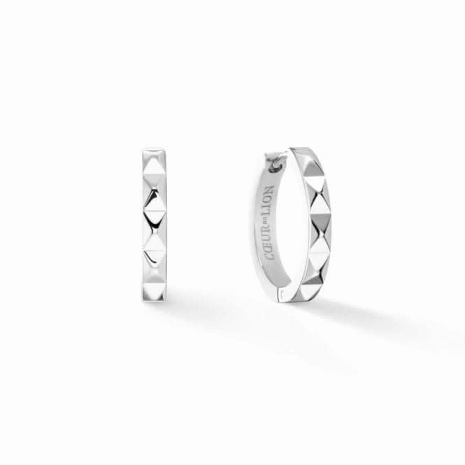 Stainless Steel Silver Ear Studs 0135/21-1700