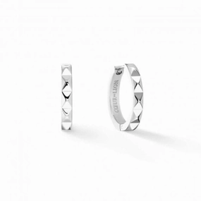 Stainless Steel Silver Ear Studs 0135/21-1700