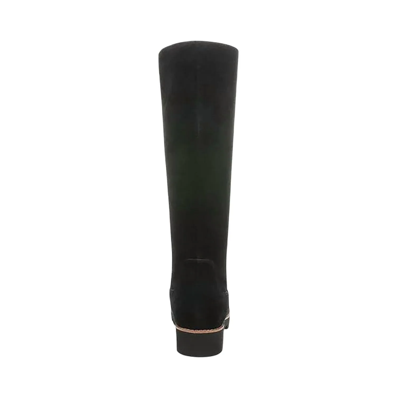 Women's Gwen Tall Boot In Black